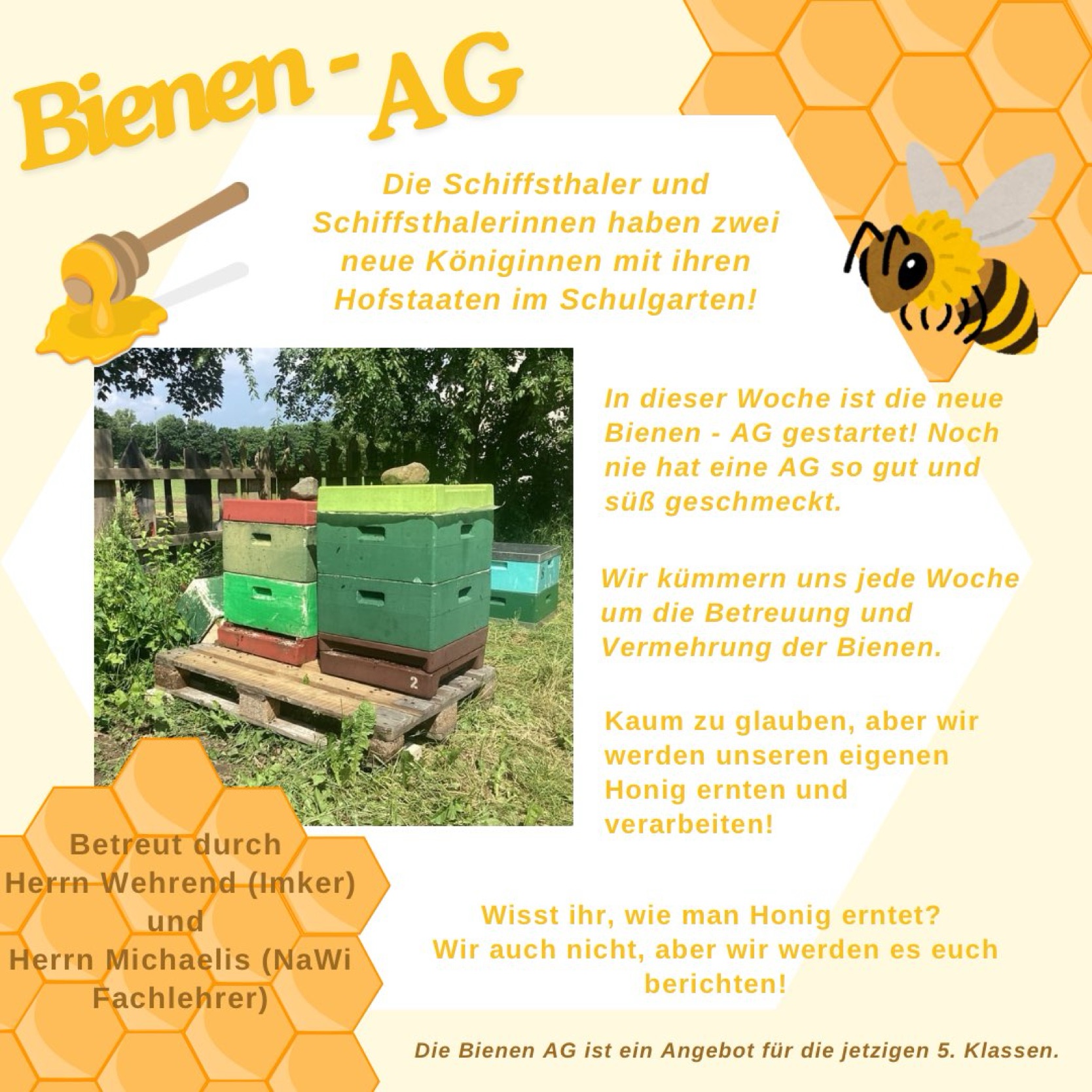 Bienen-AG …
